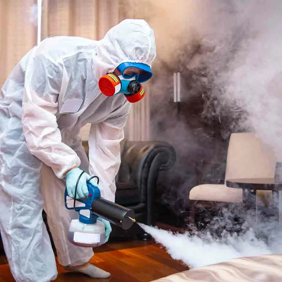 dératisation et traitement des nuisibles