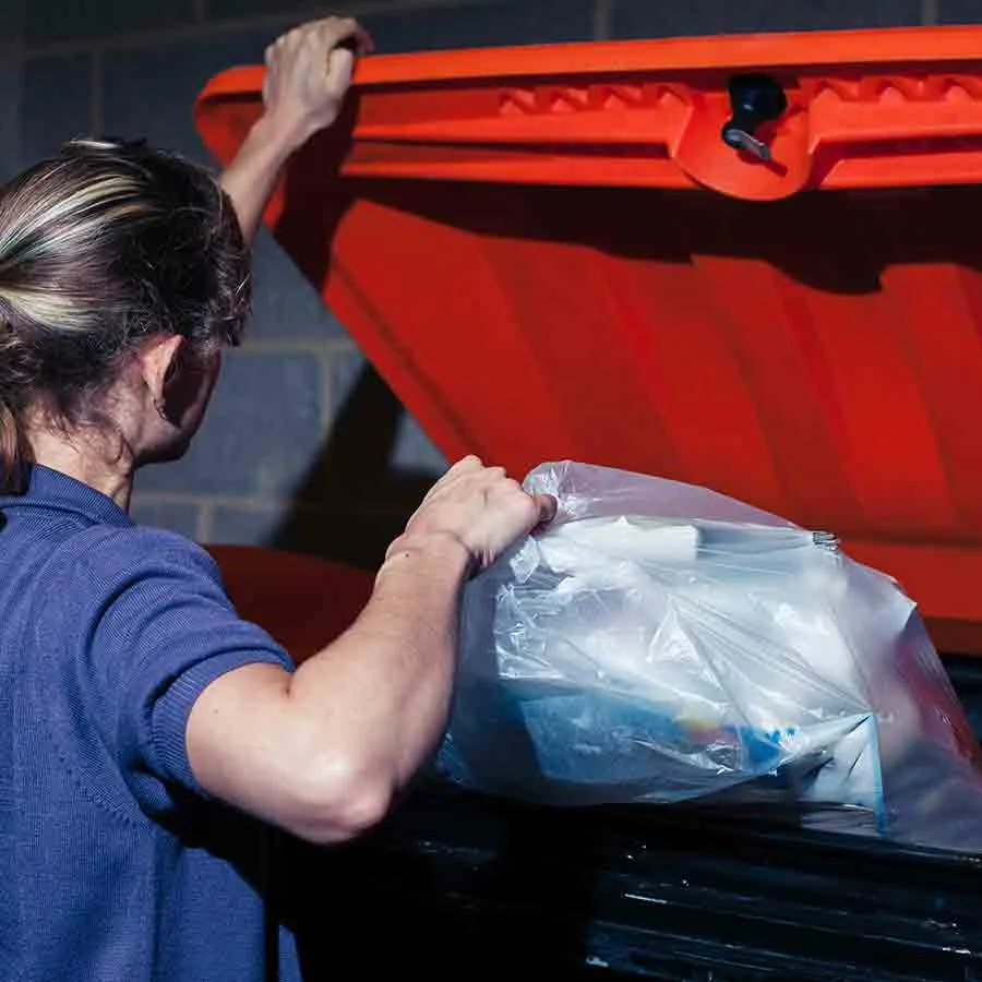 Sortie poubelles et conteneurs Toulon